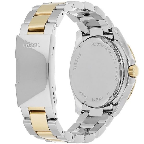 Fossil Watch Cecile AM4543 | Watches Prime