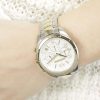 Armani Exchange Ladies Watch Sarena AX5502 | Watches Prime