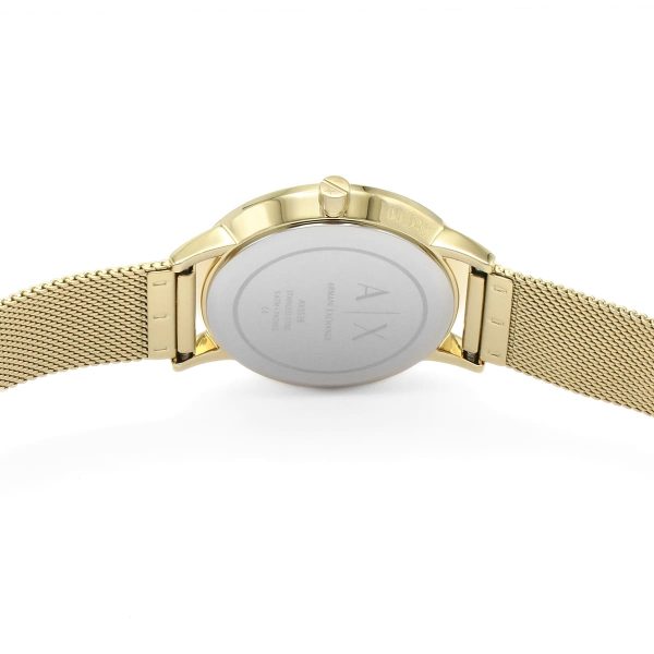 Armani Exchange Ladies Watch Lola AX5536 | Watches Prime