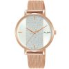 Alba Ladies Watch Fashion AH8782X1 | Watches Prime