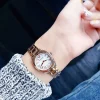 Emporio Armani Ladies Watch Gamma AR11038 | Watches Prime