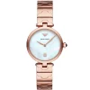 Emporio Armani Ladies Watch Arianna AR11236 | Watches Prime