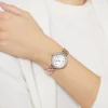 Emporio Armani Ladies Watch Rosa AR11355 | Watches Prime