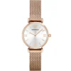 Ar1956 emporio armani watch women silver dial mesh stainless steel metal rose gold strap quartz battery analog gianni t bar