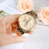 Tommy Hilfiger Ladies Watch Whitney 1782120 | Watches Prime