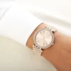 ساعة مايكل كورس نسائية دارسي MK3192 | واتشز برايم