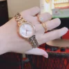 Michael Kors Ladies Watch Cinthia MK3643 | Watches Prime Michael Kors Ladies Watch Cinthia MK3643 | Watches Prime