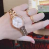 Michael Kors Ladies Watch Cinthia MK3643 | Watches Prime Michael Kors Ladies Watch Cinthia MK3643 | Watches Prime