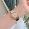 Michael Kors Ladies Watch Petite Norie MK3682 | Watches Prime