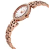 Michael Kors Ladies Watch Darci MK3832 | Watches Prime