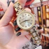 Michael Kors Ladies Watch Sofie MK3881 | Watches Prime