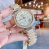 Michael Kors Ladies Watch Parker MK5632 | Watches Prime