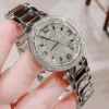ساعة مايكل كورس نسائية دارسي MK6509 | واتشز برايم ساعة مايكل كورس نسائية دارسي MK6509 | واتشز برايم