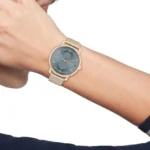 Tommy Hilfiger Ladies Watch Lily 1782664 | Watches Prime Tommy Hilfiger Ladies Watch Lily 1782664 | Watches Prime