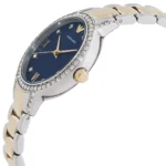 Emporio Armani Ladies Watch Cleo AR11576 | Watches Prime