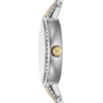 Emporio Armani Ladies Watch Cleo AR11576 | Watches Prime