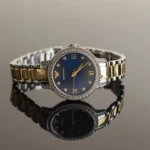 Emporio Armani Ladies Watch Cleo AR11576 | Watches Prime