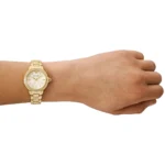 Emporio Armani Ladies Watch Mia AR11609 | Watches Prime