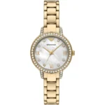 Emporio Armani Ladies Watch Cleo AR11652 | Watches Prime