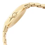 Emporio Armani Ladies Watch Cleo AR11652 | Watches Prime