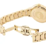 Emporio Armani Ladies Watch Cleo AR11652 | Watches Prime