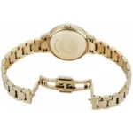 Emporio Armani Ladies Watch Cleo AR11652 | Watches Prime