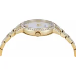 Emporio Armani Ladies Watch Cleo AR11652 | Watches Prime