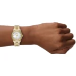 Emporio Armani Ladies Watch Federica AR11657 | Watches Prime