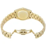 Emporio Armani Ladies Watch Federica AR11657 | Watches Prime