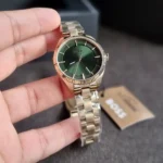 Hugo Boss Ladies Watch Sage 1502729 | Watches Prime
