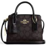 Coach Gold Brown Black Women Handbag Cv974 | Watches Prime
