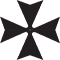 vacheron icon