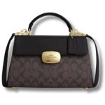 COACH Gold – Brown Black Women Handbag CW012 | Watches Prime COACH Gold – Brown Black Women Handbag CW012 | Watches Prime