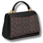 COACH Gold – Brown Black Women Handbag CW012 | Watches Prime COACH Gold – Brown Black Women Handbag CW012 | Watches Prime