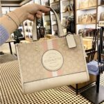 COACH Light Khaki – Metallic Soft Women shoulder bagMini Tote Bag cg096 imv6d | Watches Prime COACH Light Khaki – Metallic Soft Women shoulder bagMini Tote Bag cg096 imv6d | Watches Prime