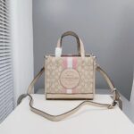 COACH Light Khaki – Metallic Soft Women shoulder bagMini Tote Bag cg096 imv6d | Watches Prime COACH Light Khaki – Metallic Soft Women shoulder bagMini Tote Bag cg096 imv6d | Watches Prime