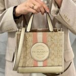 COACH Light Khaki – Metallic Soft Women shoulder bagMini Tote Bag cg096 imv6d | Watches Prime COACH Light Khaki – Metallic Soft Women shoulder bagMini Tote Bag cg096 imv6d | Watches Prime